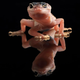 Illustration for article titled Kung fu Gecko will kick your ass first, ask questions later